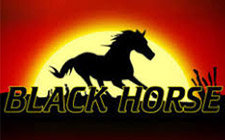 Ойын автоматы Black Horse