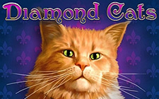 Ойын автоматы Diamond Cats